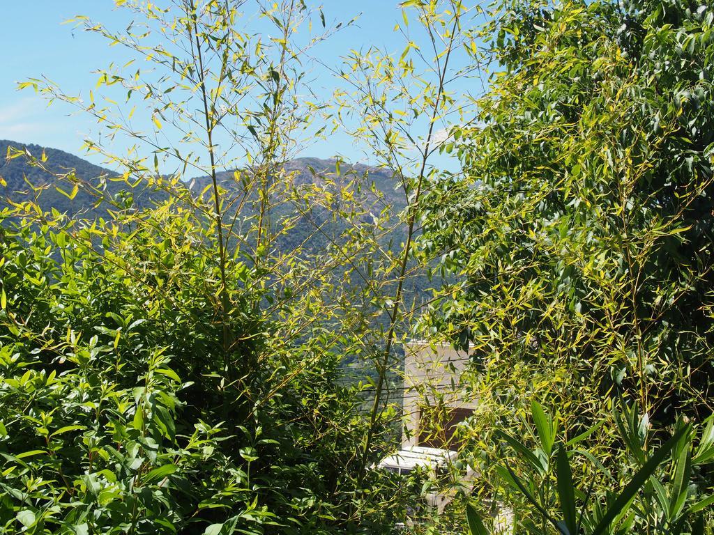 Maison De Vacances - Casa Mezanaccia Avec Terrasse Fleurie Meuble Tourisme 3 Etoiles Santa-Lucia-di-Tallano Экстерьер фото
